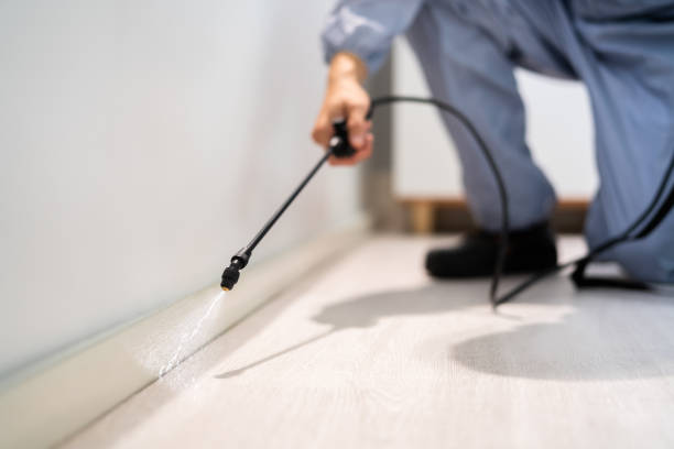 Licensed Termite Control service in Stafford County County, VA - Nex Pest Control