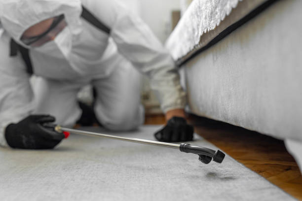 Professional Termite Control technician working in Stafford County County, VA